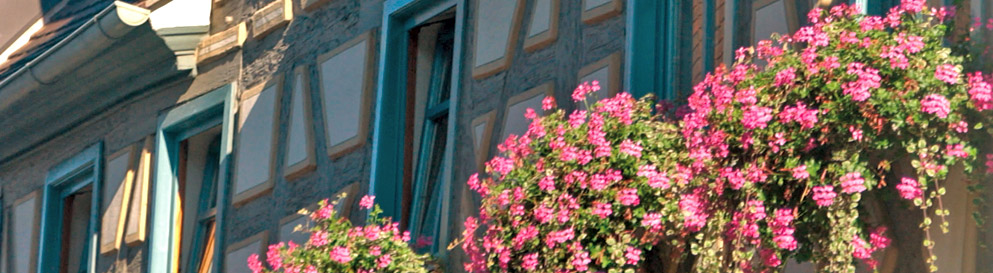 Über Immobilien Nadler