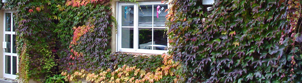 Immobilien Nadler Eingang